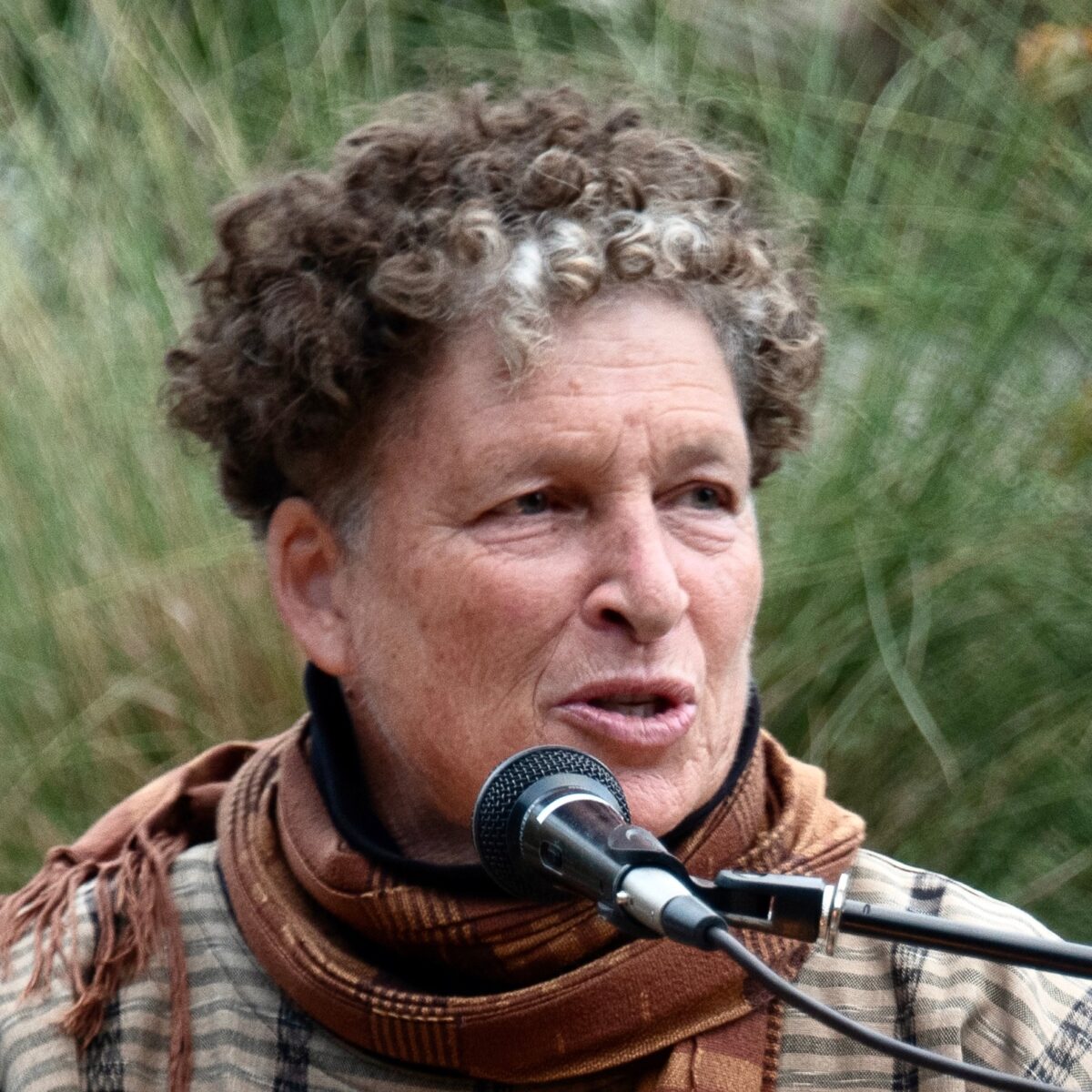 Debbie Fier